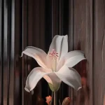 Devineur Fleurs