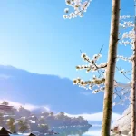 Dream
