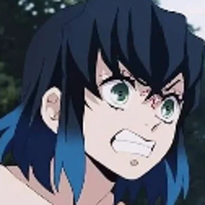 Inosuke Hashibira